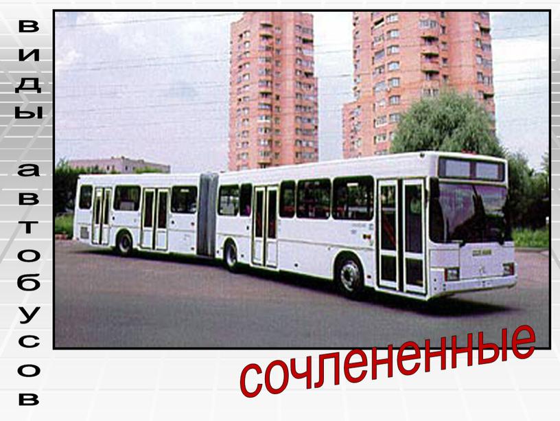 сочлененные виды автобусов