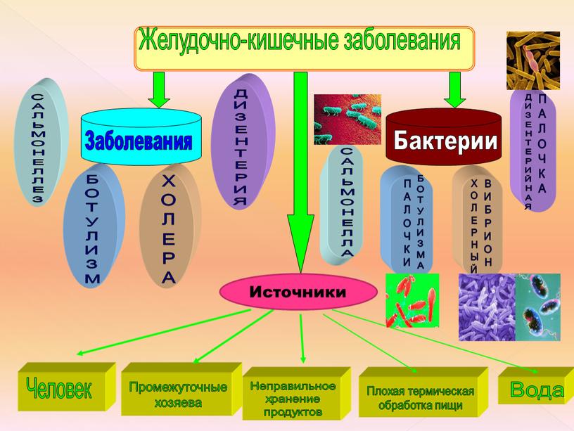 С А Л Ь М О Н Е Л Л Е З Б О Т У