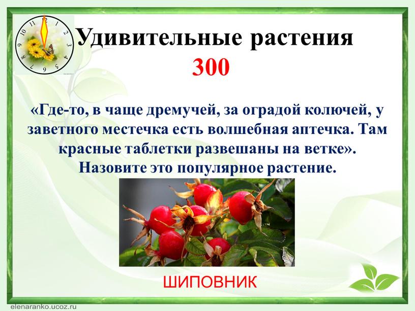 Какая нить в природе самая тонкая. Смотреть фото Какая нить в природе самая тонкая. Смотреть картинку Какая нить в природе самая тонкая. Картинка про Какая нить в природе самая тонкая. Фото Какая нить в природе самая тонкая