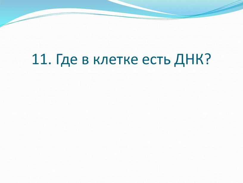 11. Где в клетке есть ДНК?