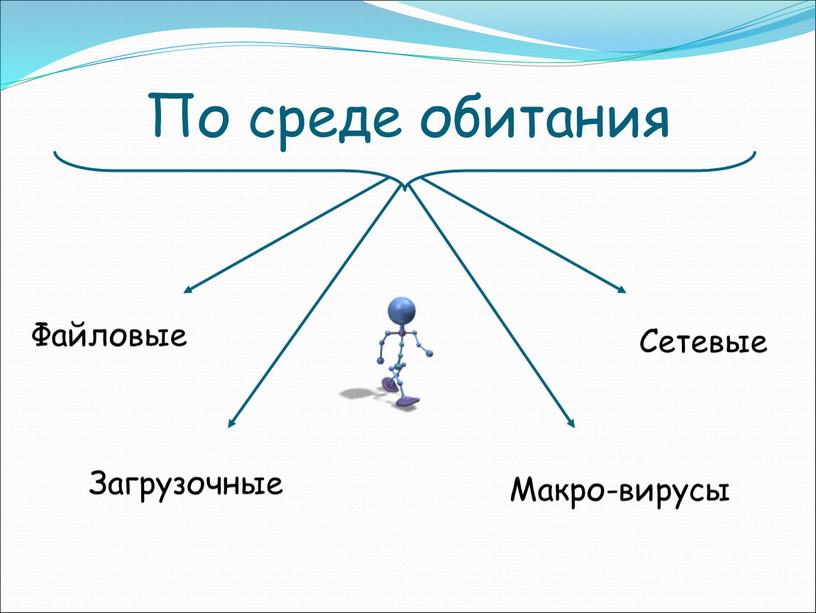 По среде обитания Файловые Сетевые