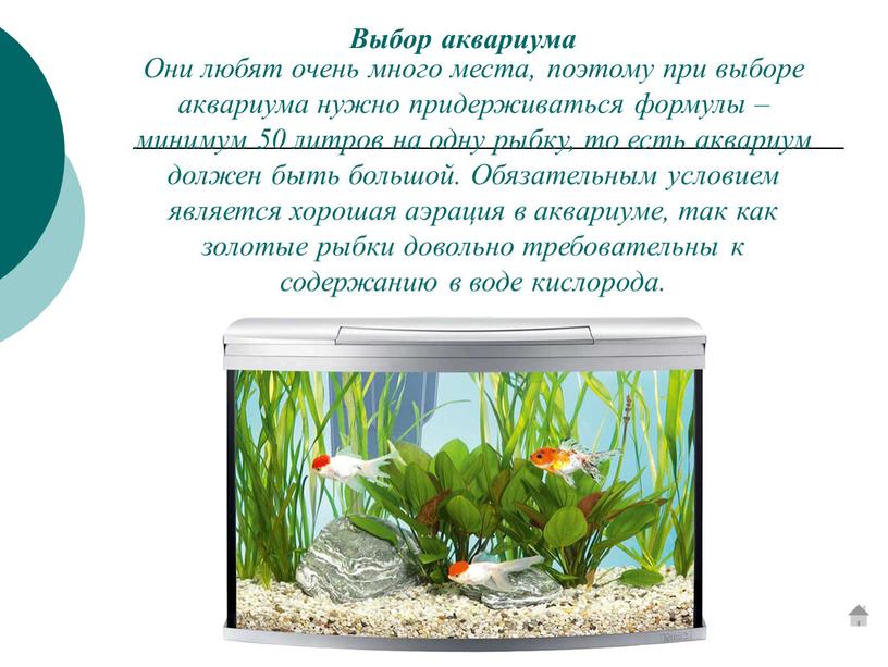 Выбор аквариума Они любят очень много места, поэтому при выборе аквариума нужно придерживаться формулы – минимум 50 литров на одну рыбку, то есть аквариум должен…