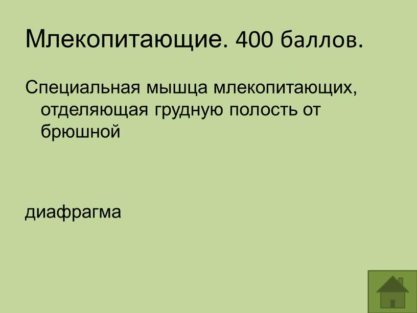 Млекопитающие. 400 баллов. Специальная мышца млекопитающих, отделяющая грудную полость от брюшной диафрагма