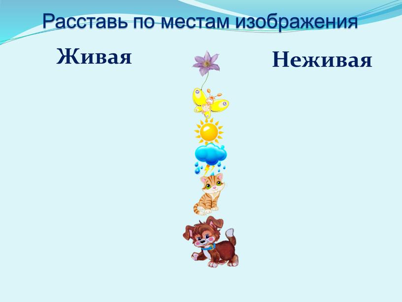 Расставь по местам изображения