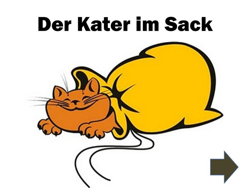 Der Kater im Sack