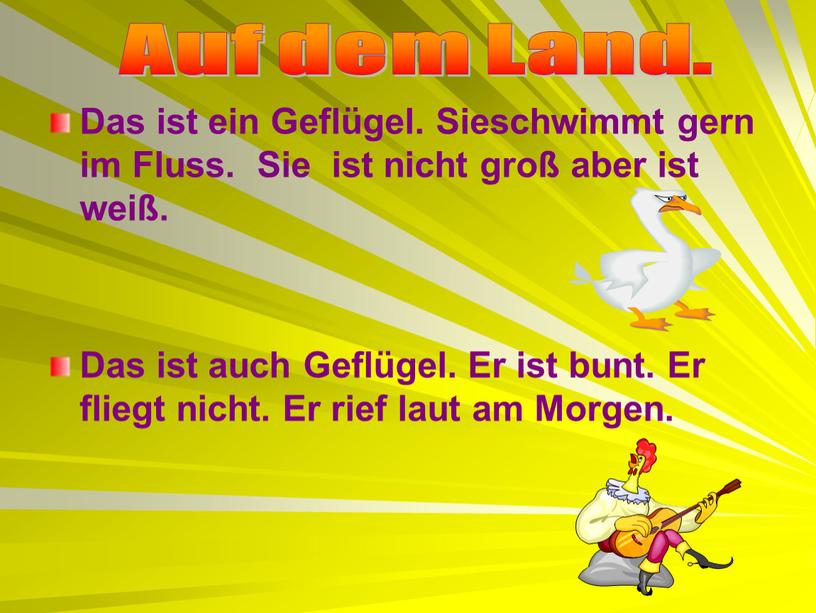 Das ist ein Geflügel. Sieschwimmt gern im