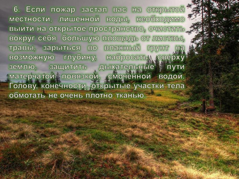 Если пожар застал вас на открытой местности, лишенной воды, необходимо выйти на открытое пространство, очистить вокруг себя большую площадь от листвы, травы, зарыться во влажный…