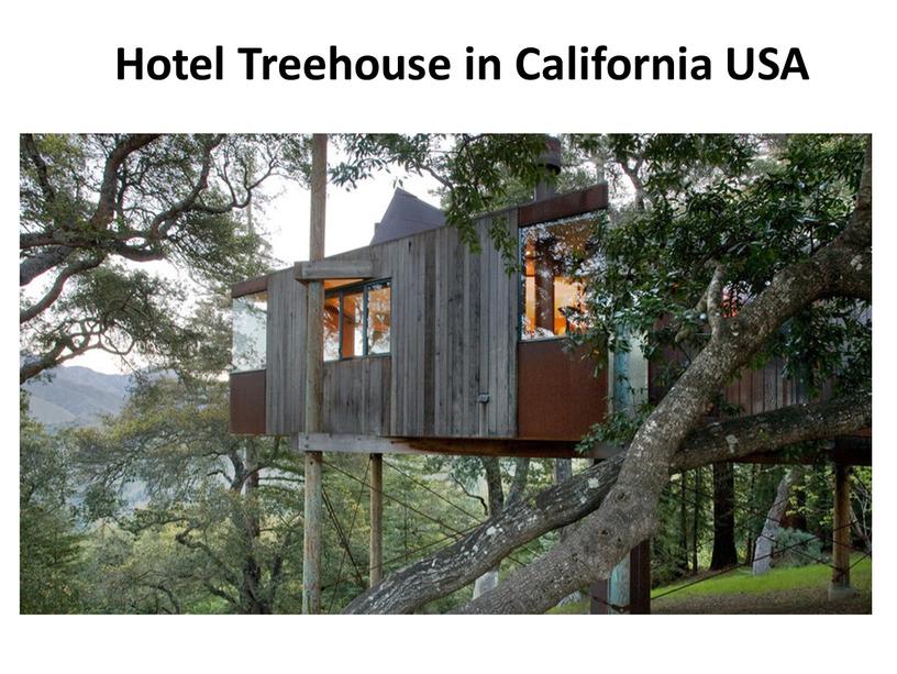 Hotel Treehouse in California USA