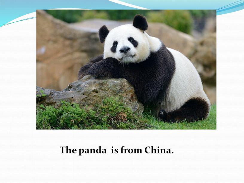 The panda is from China.