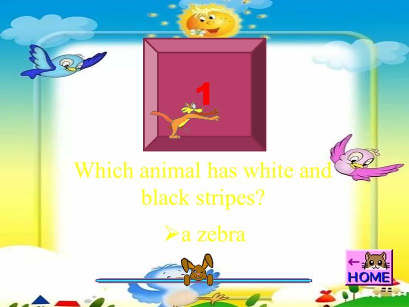 Which animal has white and black stripes? a zebra