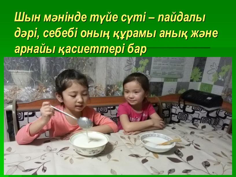 Шын мәнінде түйе сүті – пайдалы дәрі, себебі оның құрамы анық және арнайы қасиеттері бар