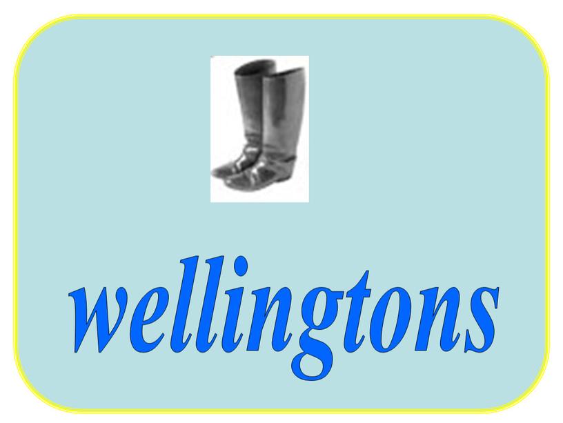 wellingtons