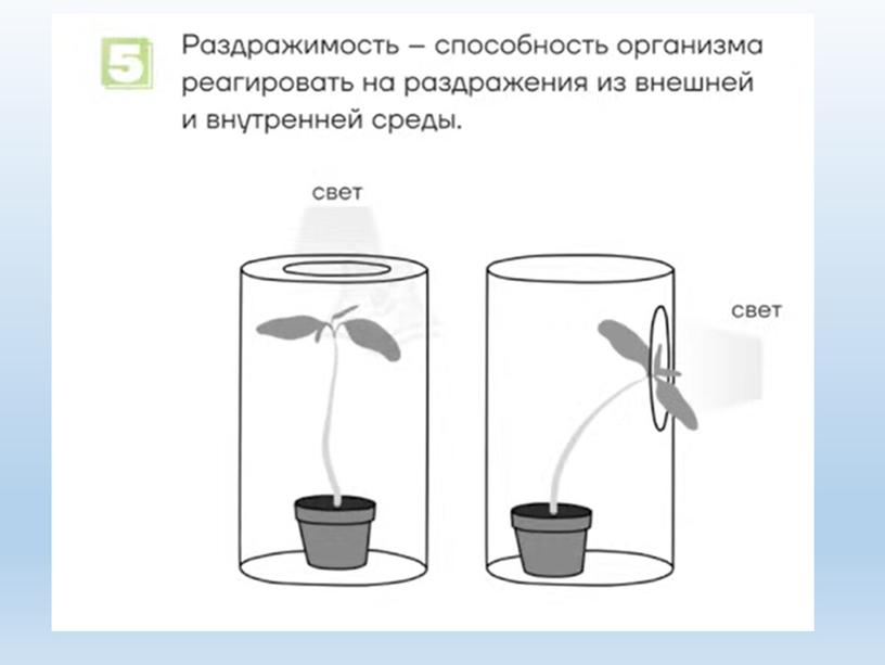 Разбор заданий №1 ОГЭ биология из сборника В.С.Рохлова