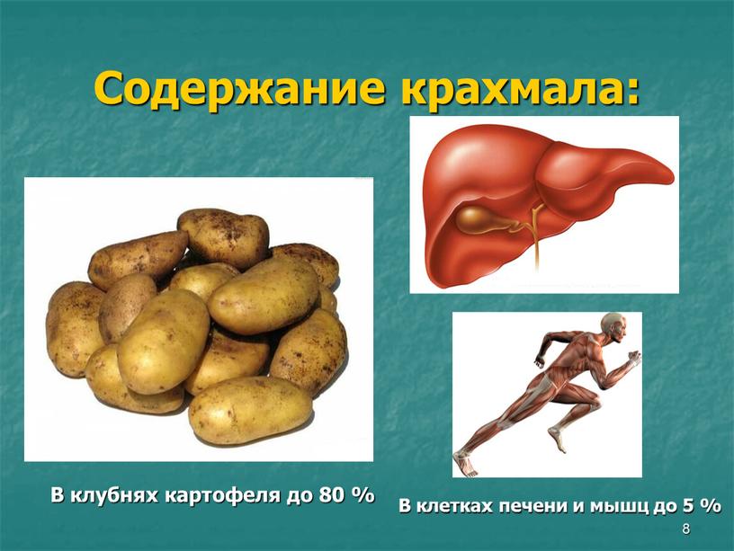 Содержание крахмала: В клубнях картофеля до 80 %