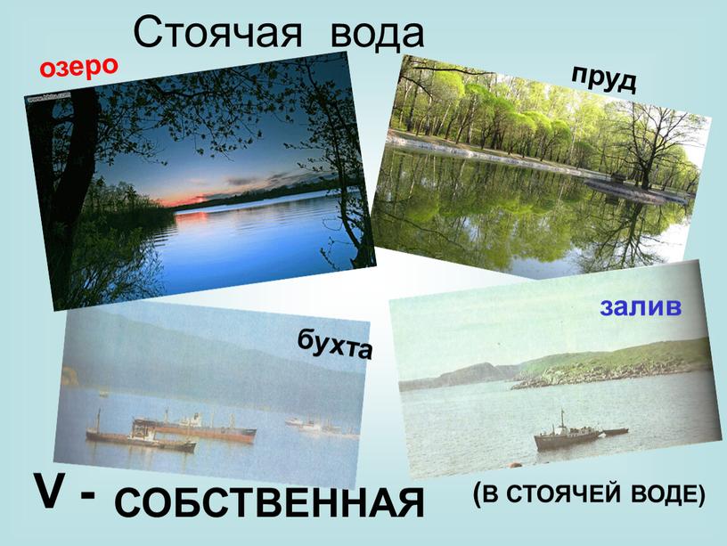 Стоячая вода V - СОБСТВЕННАЯ (В