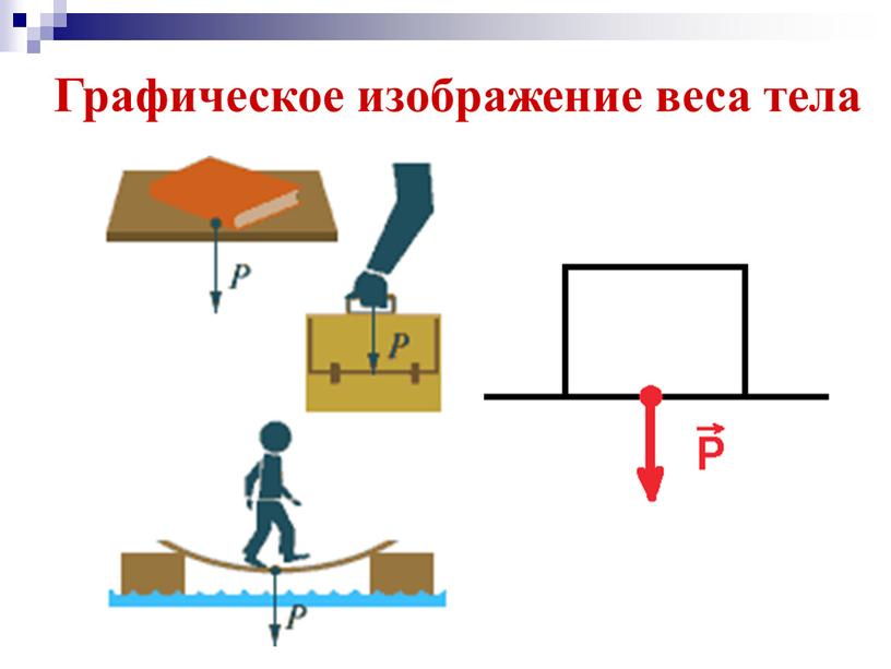 Графическое изображение веса тела