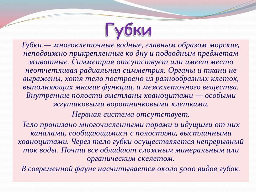 Губки Губки — многоклеточные водные‚ главным образом морские, неподвижно прикрепленные ко дну и подводным предметам животные