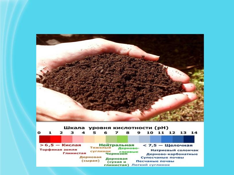 Влияние вермикулита на свойства почвы при выращивании рассады