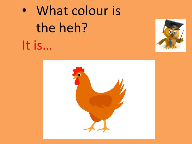 hen What colour is the heh? It is…