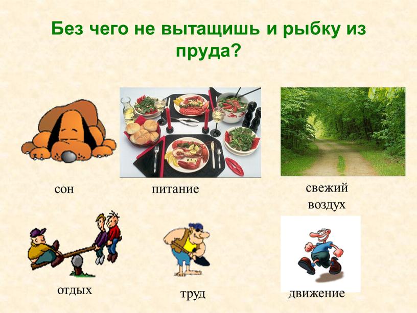 Без чего не вытащишь и рыбку из пруда? сон питание свежий воздух отдых труд движение