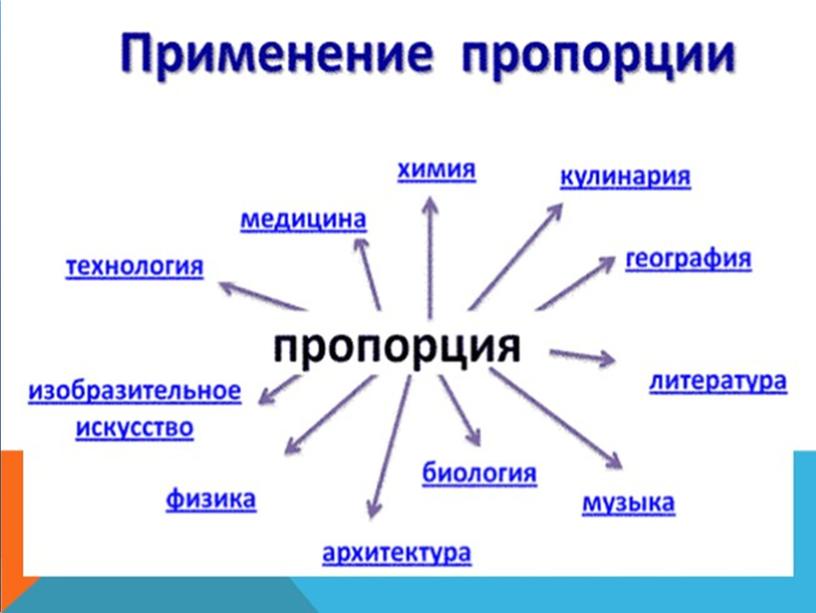 Исследовательская работа "Пропорции в жизни человека"