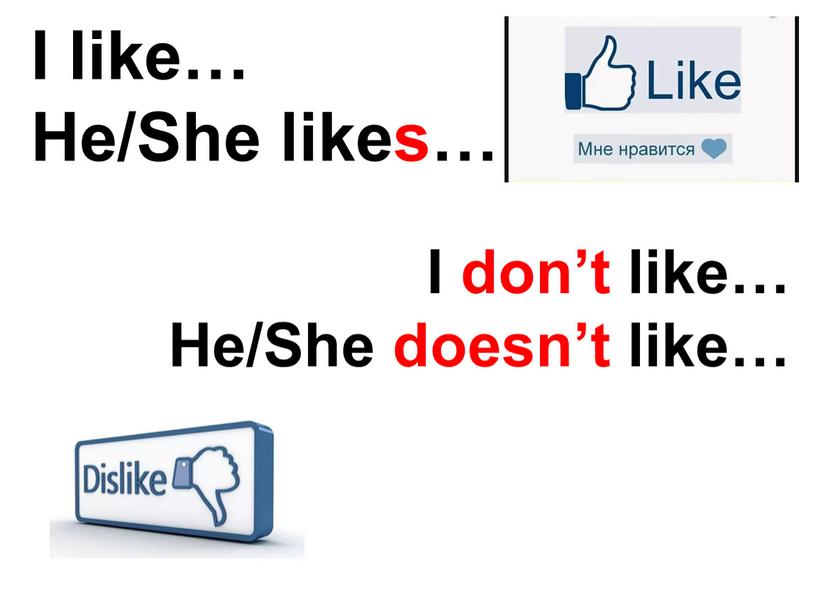 I like… He/She likes… I don’t like…