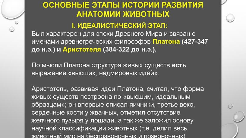 Введение в сравнительную анатомию позвоночных