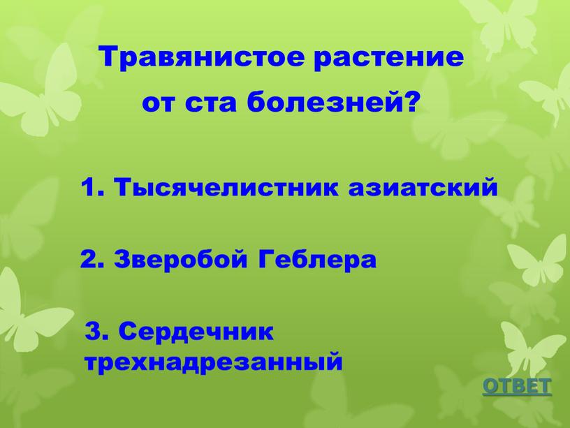 Травянистое растение от ста болезней?