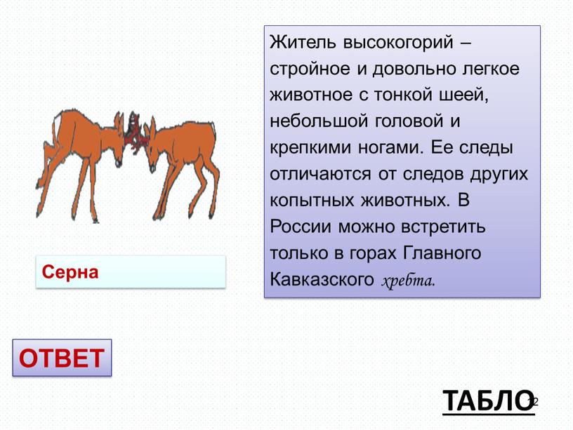 ТАБЛО Житель высокогорий – стройное и довольно легкое животное с тонкой шеей, небольшой головой и крепкими ногами