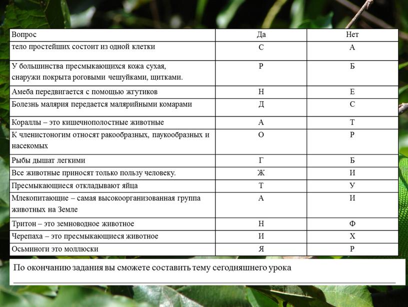 Вопрос Да Нет тело простейших состоит из одной клетки