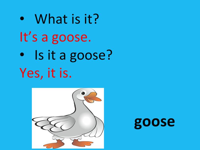 What is it? It’s a goose. Is it a goose?