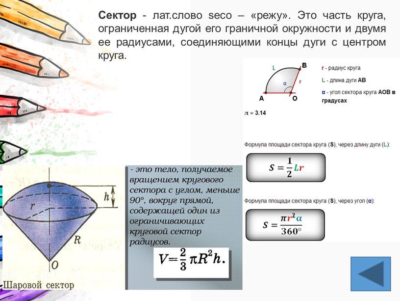 Сектор - лат.слово seco – «режу»