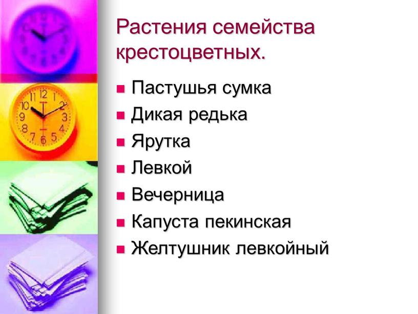 Растения семейства крестоцветных