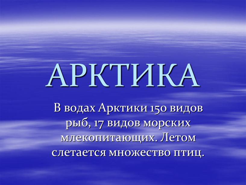 АРКТИКА В водах Арктики 150 видов рыб, 17 видов морских млекопитающих