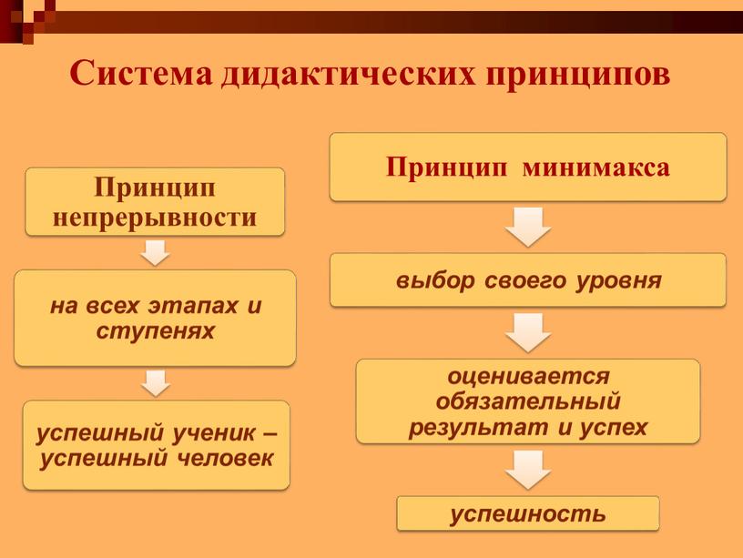 Система дидактических принципов