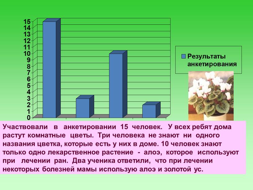 Участвовали в анкетировании 15 человек