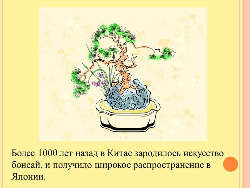 Более 1000 лет назад в Китае зародилось искусство бонсай, и получило широкое распространение в