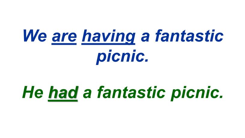 We are having a fantastic picnic
