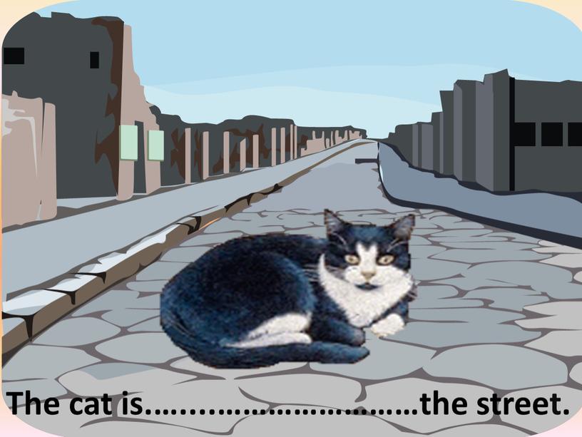 The cat is.…....……………………the street