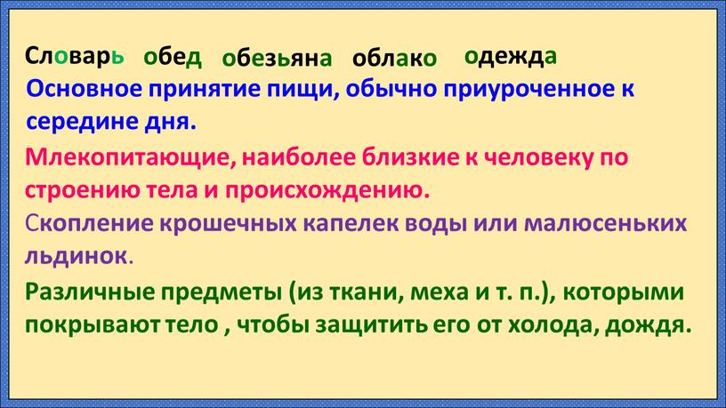 Словарь обед обезьяна облако одежда