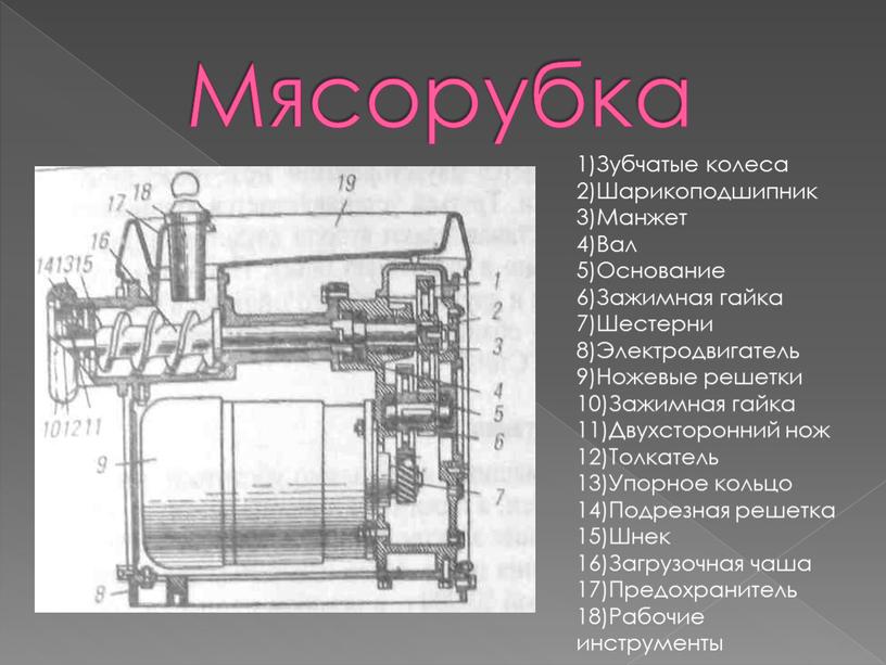 Мясорубка 1)Зубчатые колеса 2)Шарикоподшипник 3)Манжет 4)Вал 5)Основание 6)Зажимная гайка 7)Шестерни 8)Электродвигатель 9)Ножевые решетки 10)Зажимная гайка 11)Двухсторонний нож 12)Толкатель 13)Упорное кольцо 14)Подрезная решетка 15)Шнек 16)Загрузочная чаша…