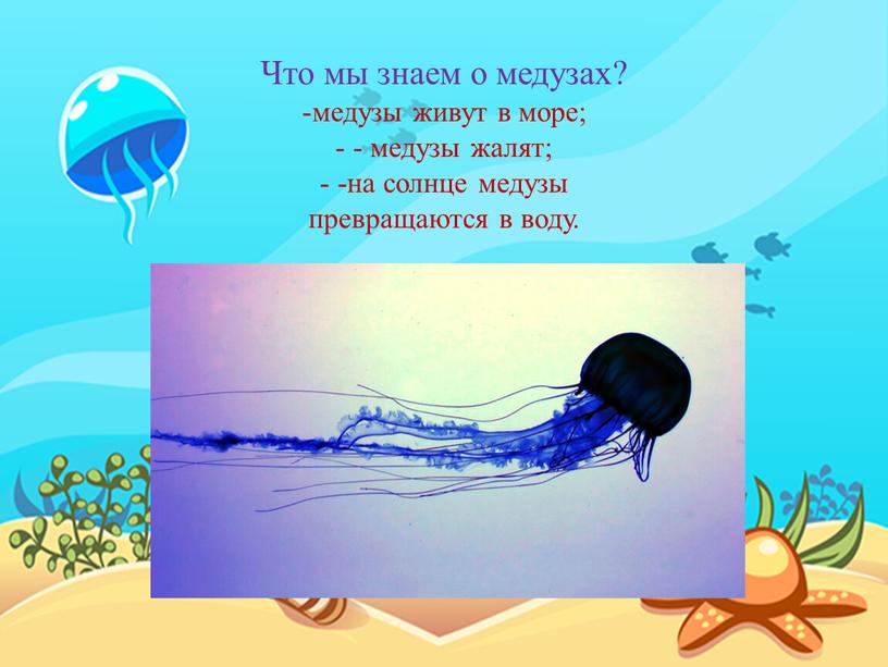 Что мы знаем о медузах? медузы живут в море; - медузы жалят; -на солнце медузы превращаются в воду