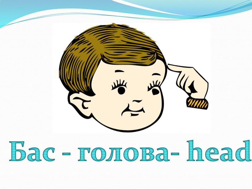 Бас - голова- head