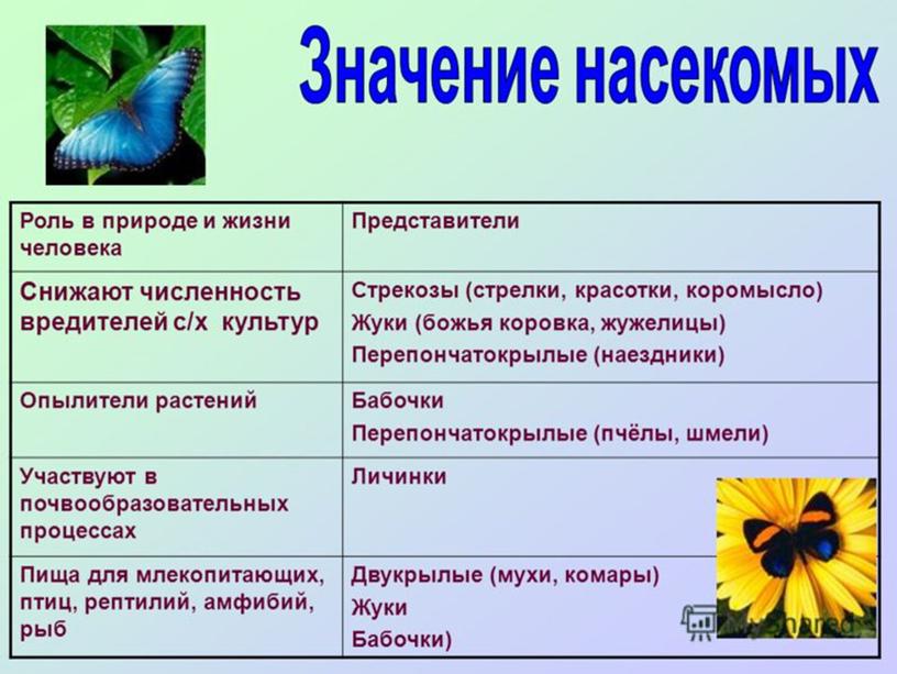 Заключение