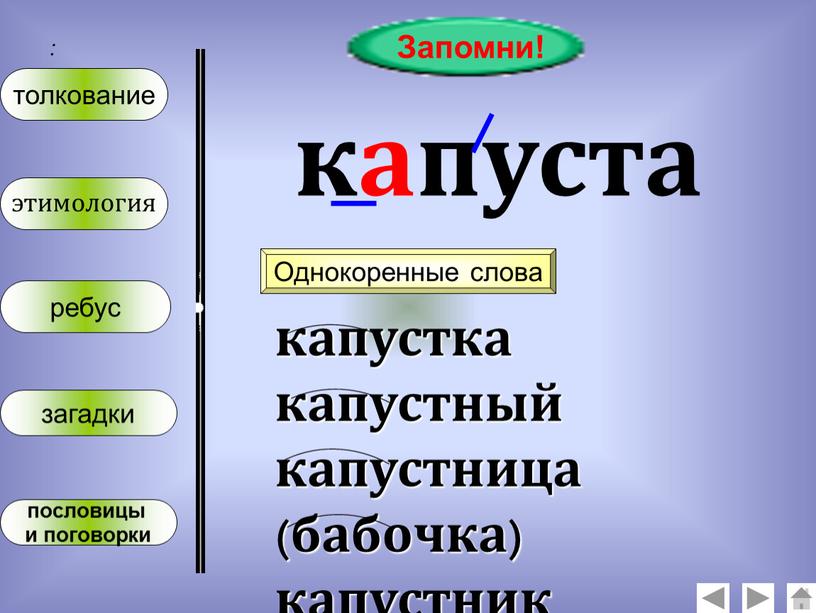 Запомни! капуста Однокоренные слова капустка капустный капустница (бабочка) капустник (пирог)