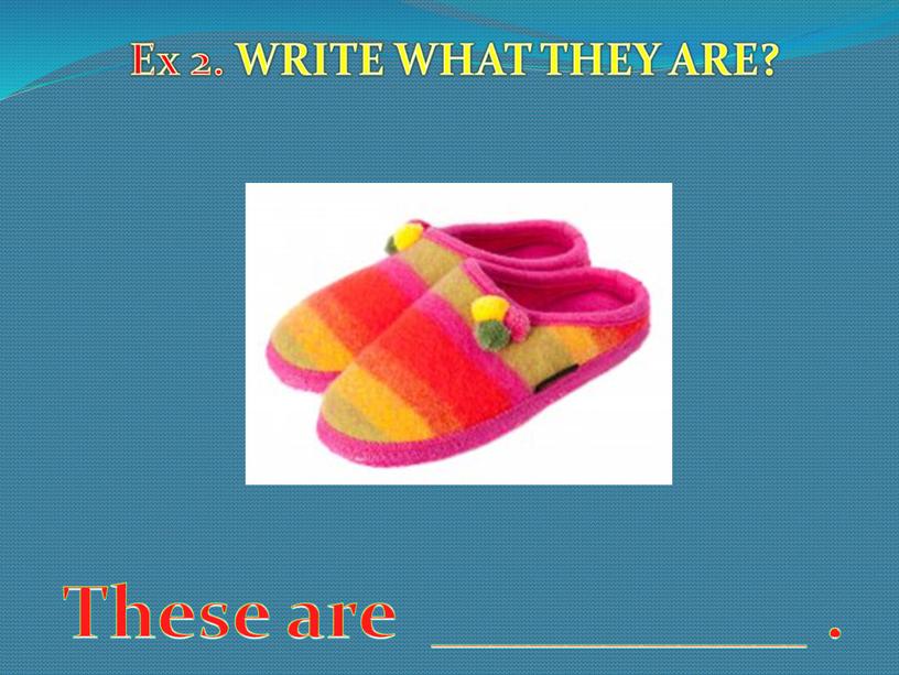 Ex 2. WRITE WHAT THEY ARE? These are __________