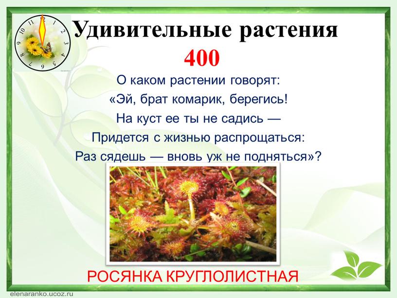 Какая нить в природе самая тонкая. Смотреть фото Какая нить в природе самая тонкая. Смотреть картинку Какая нить в природе самая тонкая. Картинка про Какая нить в природе самая тонкая. Фото Какая нить в природе самая тонкая