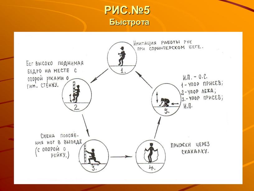 РИС.№5 Быстрота