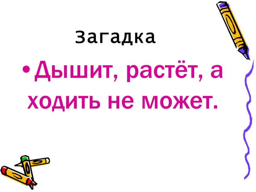 Загадка Дышит, растёт, а ходить не может