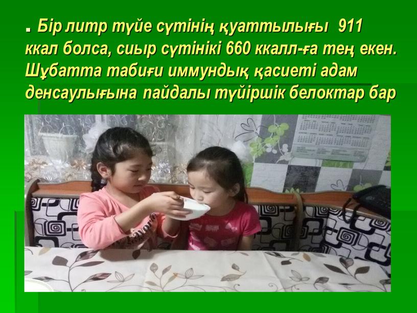 Бір литр түйе сүтінің қуаттылығы 911 ккал болса, сиыр сүтінікі 660 ккалл-ға тең екен